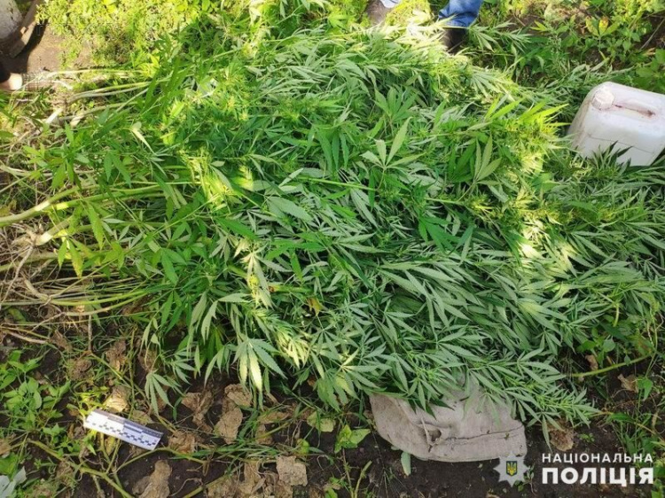 Житель Донетчины хранил в сарае пять килограмм наркотиков (ФОТО)