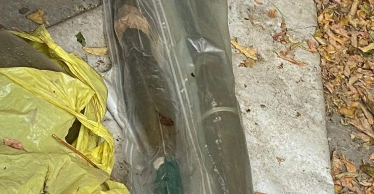 Пограничники выявили боеприпасы к гранатометам в доме на Донетчине