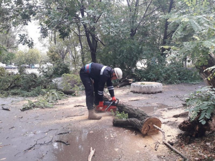 На Мариуполь обрушилась непогода: повалены деревья, обесточены десятки улиц (СПИСОК)