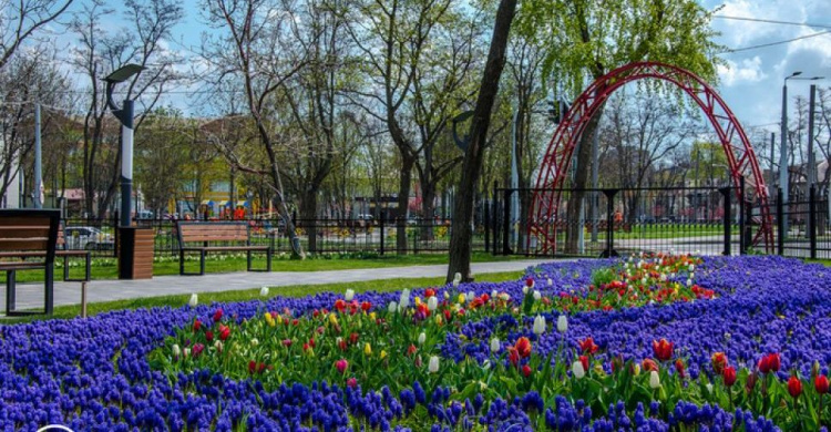 Мариупольскую «Веселку» украсили порядка 200 тысяч цветов (ФОТО)