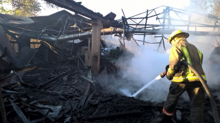 В Мариуполе сгорел деревообрабатывающий цех (ФОТО)