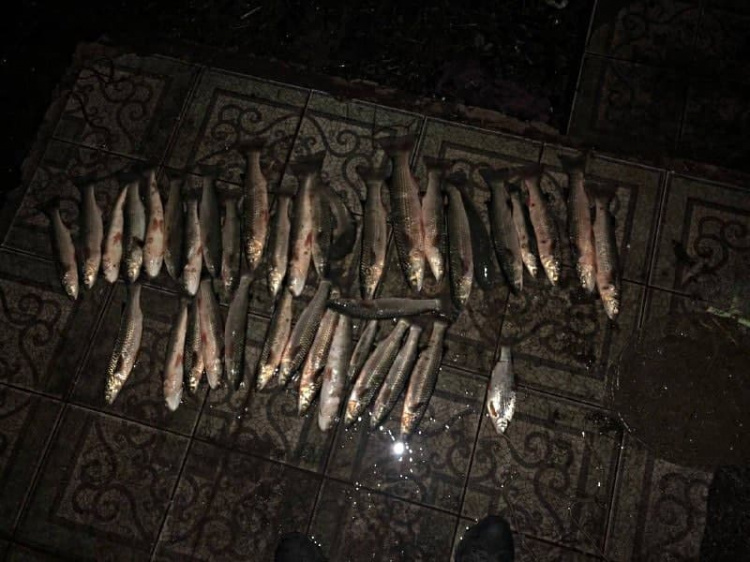 Поймали с поличным: в Мариуполе браконьеры наловили рыбы на 75 тысяч гривен