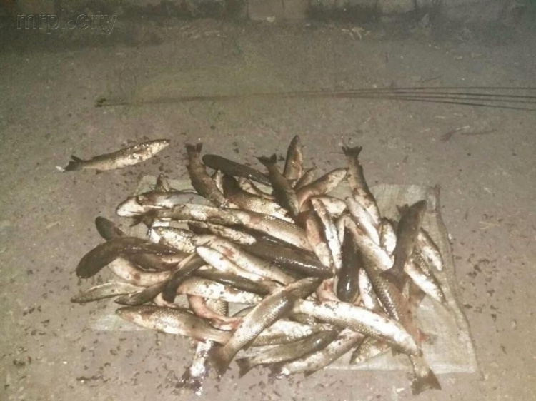 В Мариуполе поймали браконьера, который «Пауком» наловил рыбы на 19 тысяч гривен