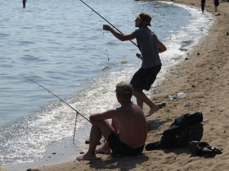 Жара. Мариупольские рыбаки радуются чистому морю и тоскуют по ушедшему бычку с таранью (ФОТО)