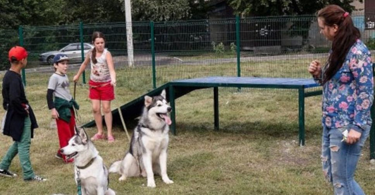 Мариупольцы хотят обустроить площадку для выгула собак