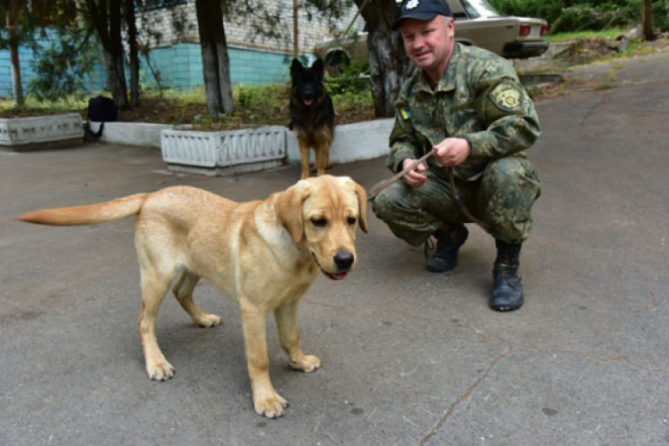 Полиция Донецкой области готовит первый выпуск четвероногих помощников (ФОТО)