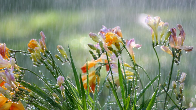 В Мариуполе жару разбавят дожди с грозами