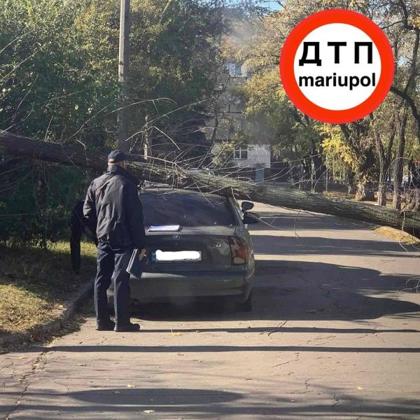 В Мариуполе на авто упало дерево, а на трассе перевернулся автомобиль
