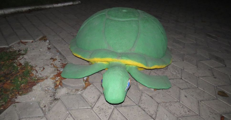 Полутораметровые черепахи обнаружены на главном проспекте Мариуполя (ФОТОФАКТ)