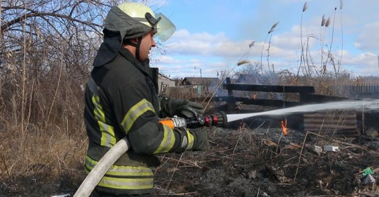 В Мариуполе загорелся камыш, огонь подбирался к жилым домам