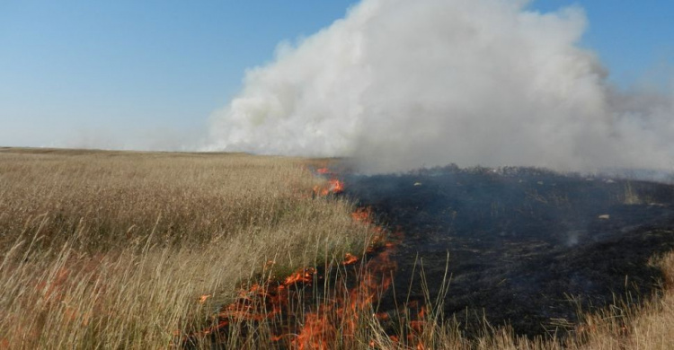 В Украине хотят повысить штраф за поджог сухой травы до 153 тысяч грн