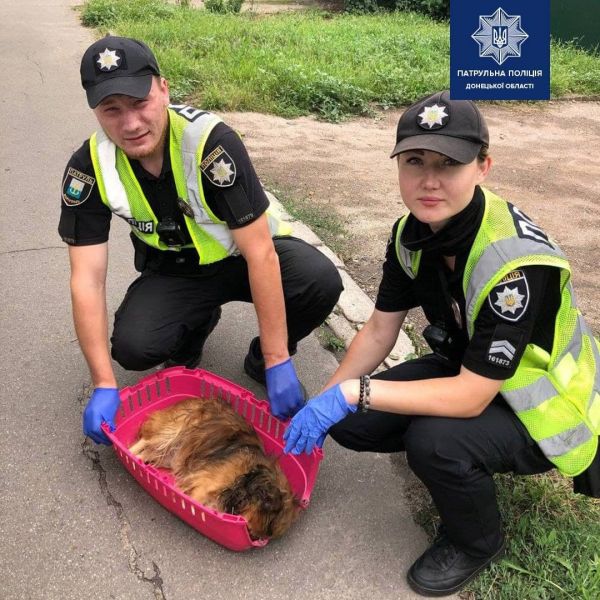 Мариупольские патрульные спасли собаку, которая могла умереть на дороге