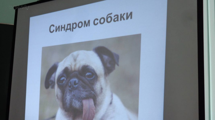 В Мариупольском университете исследовали «синдром собаки» (ФОТО+ДОПОЛНЕНО+ВИДЕО)