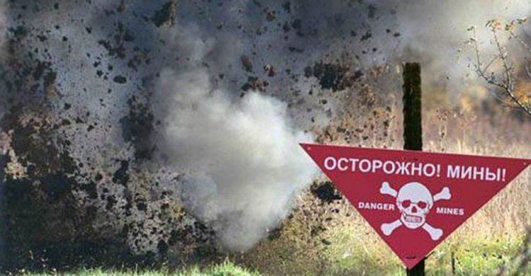 Беспилотник ОБСЕ обнаружил минное поле на Донбассе