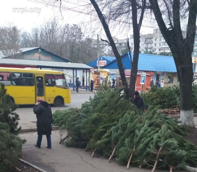 В Мариуполе обменник валюты 