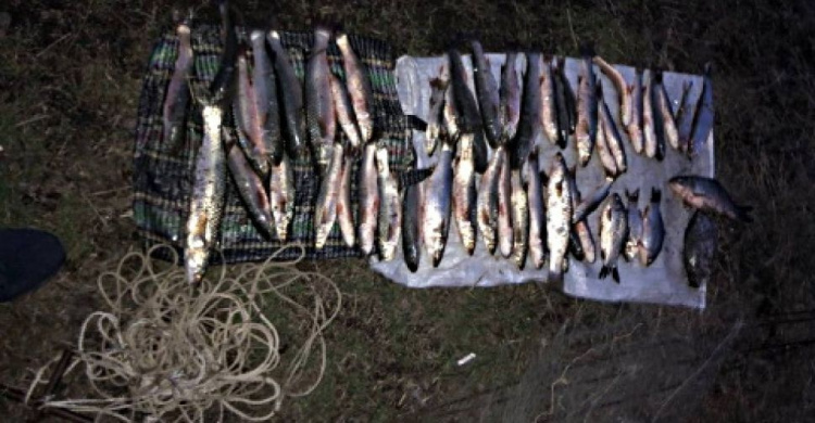 Браконьеры в Мариуполе наловили рыбы на десятки тысяч гривен