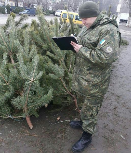 В Мариуполе перед Новым годом полицейские изымают нелегальные елки (ФОТО)