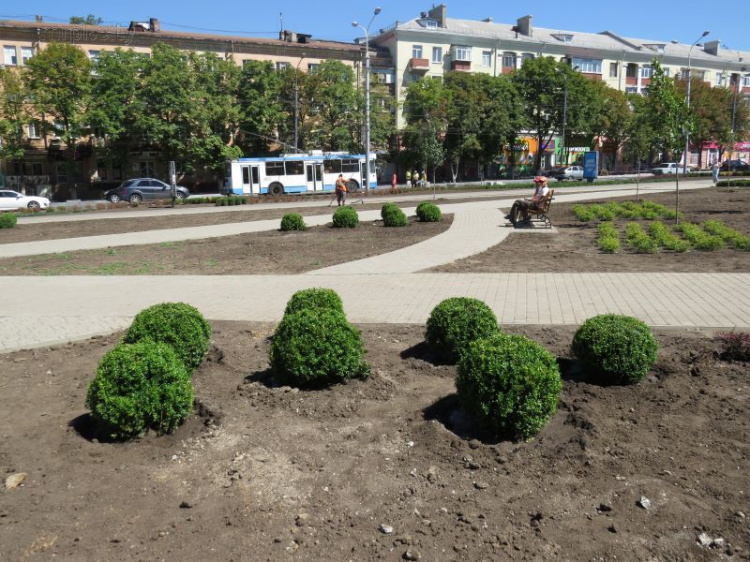 Остановленное Антимонопольным комитетом озеленение площади Мариуполя продолжилось (ФОТОФАКТ)