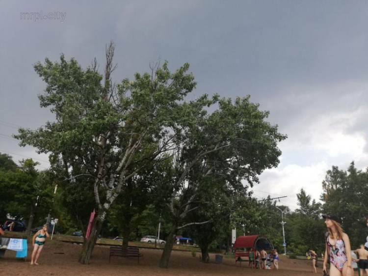 Под дождем на городском пляже Мариуполя отдыхают несколько десятков человек (ФОТОФАКТ)