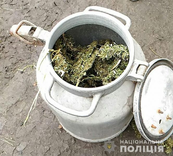 Наркокартель во дворе дома: у мариупольца изъяли марихуаны на 300 тысяч гривен (ФОТО)