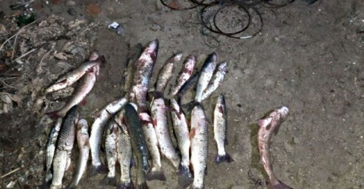 Рыбалка не удалась: на Левобережье Мариуполя поймали браконьера