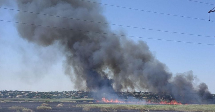 Пожарные борются с огнем и ветром: вблизи Мариуполя свирепствует масштабное пламя