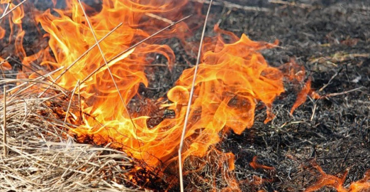 В Мариуполе пожары. ГСЧС предупредила о чрезвычайной степени пожароопасности (ФОТО)