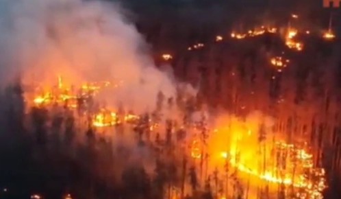 ЗСУ розбили групу окупантів новим вогнеметним дроном -  яскраві кадри