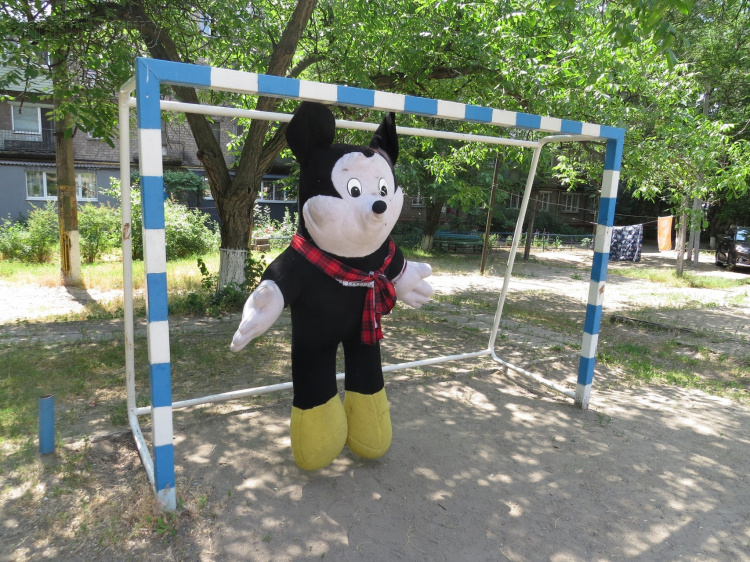 Футбольные ворота в Мариуполе защищает грызун-гигант (ФОТОФАКТ)