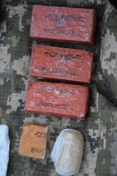 Вблизи Мариуполя нашли схрон с гранатами и килограммом тротила (ФОТО)