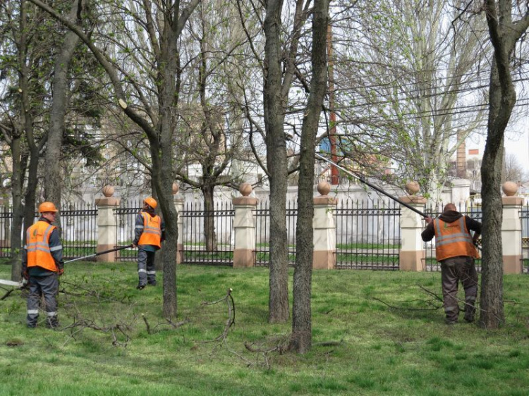 Из Городского сада к его 155-летию удалят 48 деревьев и разрисуют аллеи (ФОТО+ВИДЕО)