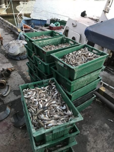 Трое браконьеров из Мариуполя попались с крупным уловом рыбы (ФОТО)