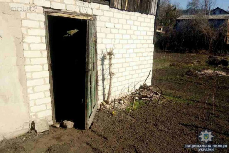 Женщина на Донетчине нашла во дворе дома гранатометы (ФОТО)