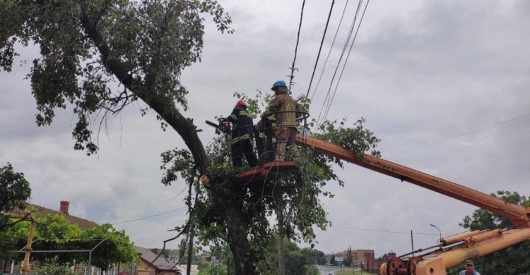 В Мариупольском районе ураган повалил деревья и повредил крыши