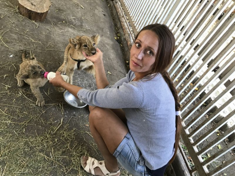 В мариупольском зоопарке можно будет поиграться с львятами (ФОТОФАКТ)