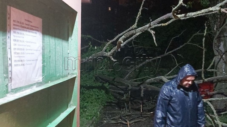 Ночной потоп в Мариуполе: затопленные дома, залитые подъезды, поваленные деревья (ФОТОРЕПОРТАЖ)
