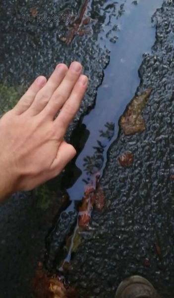 В Мариуполе из трещины в асфальте хлещет вода (ФОТОФАКТ)