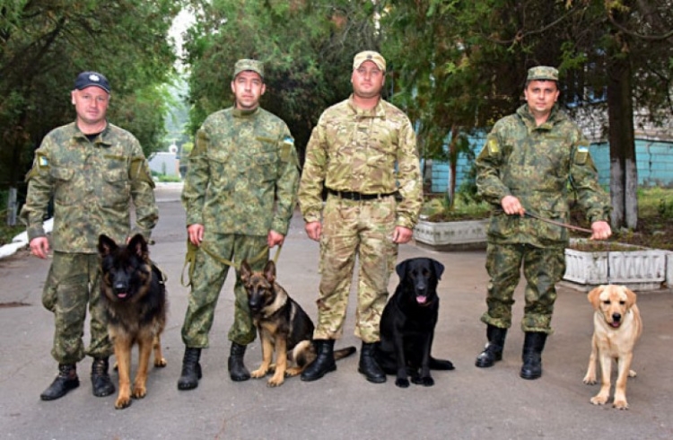 Полиция Донецкой области готовит первый выпуск четвероногих помощников (ФОТО)