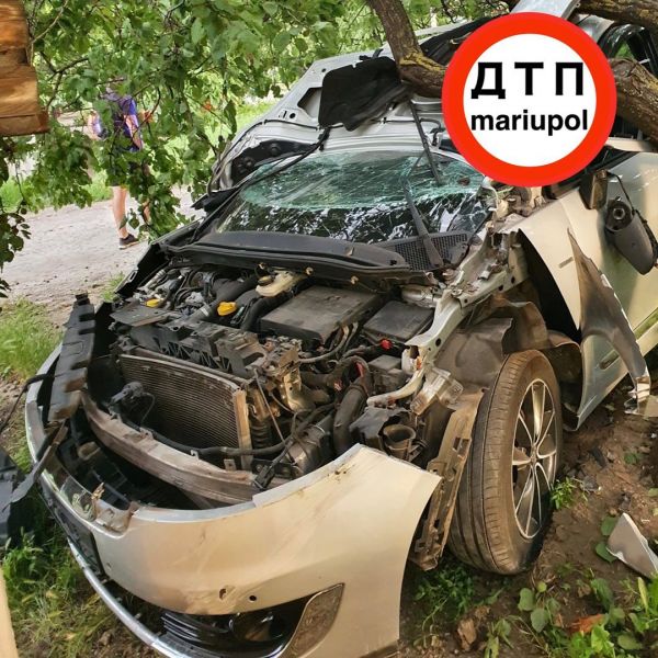Пьяный мариуполец на Renault чудом остался жив после «встречи» с деревом