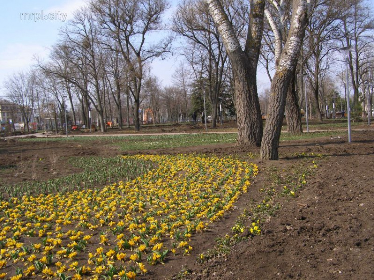 Мариупольская «Веселка» уже цветет и готовится к открытию (ФОТО)