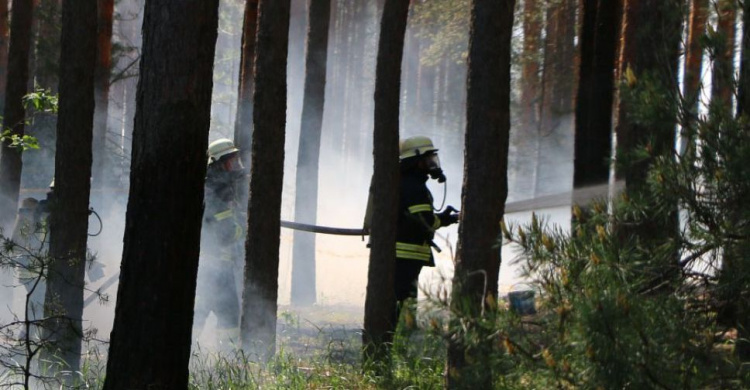 Пожар в лесу: спасатели Донетчины провели масштабные учения (ФОТО)