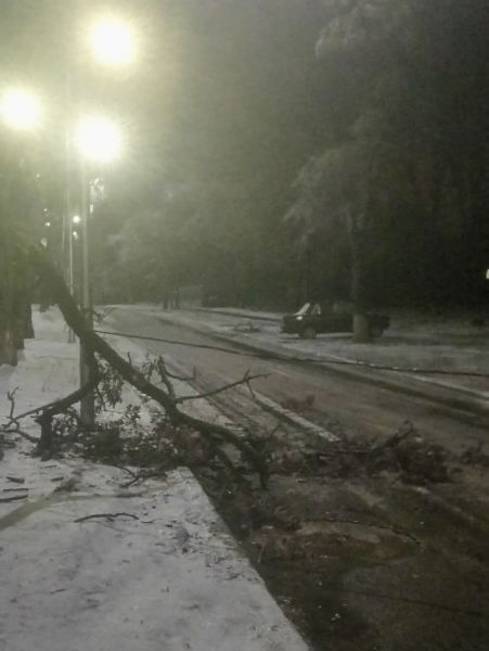 Мариупольцы страдают от последствий непогоды: повреждены деревья и оборваны провода