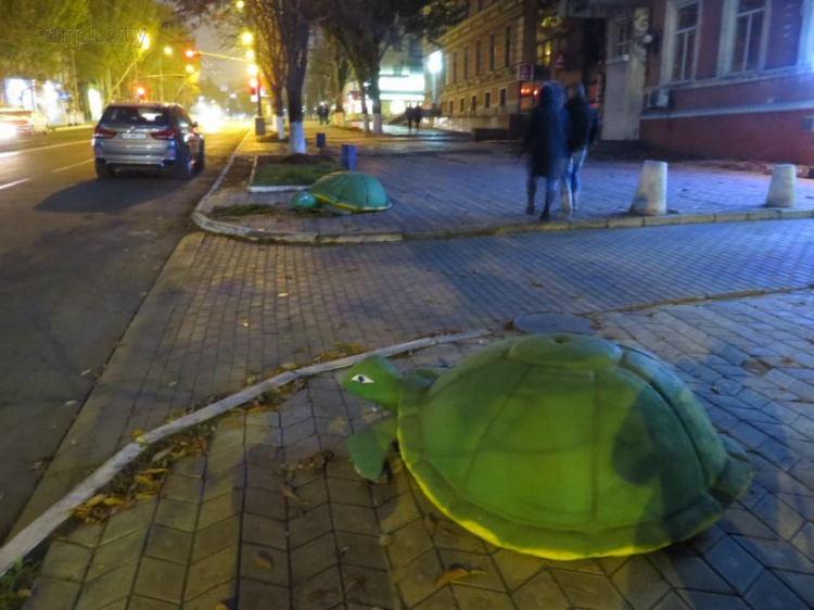 Полутораметровые черепахи обнаружены на главном проспекте Мариуполя (ФОТОФАКТ)