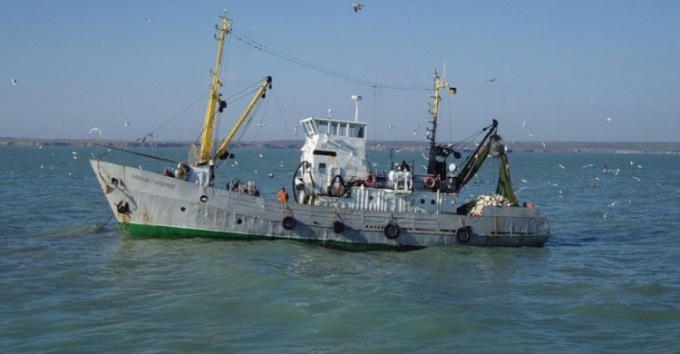 Рыбный дерибан: как Украина и Россия делят Азовское море (ВИДЕО)