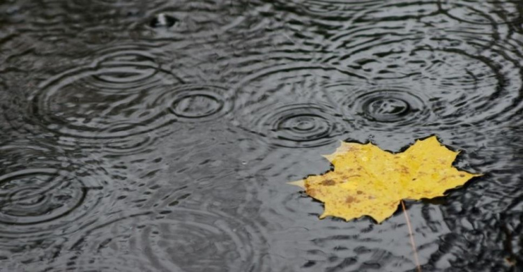 Дожди и похолодание: какой будет следующая неделя в Мариуполе?