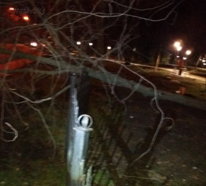 Шторм в Мариуполе: деревья рушились на дома и ограды, ливень топил дворы (ФОТО)
