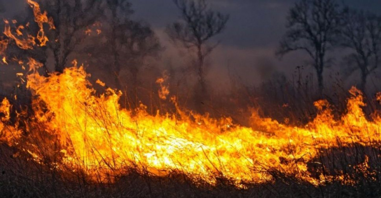 В Мариуполе выгорело более 1000 квадратных метров территорий с постройками
