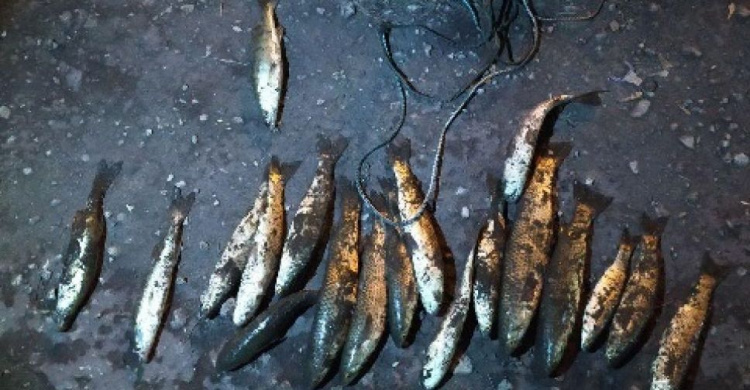 Мариупольский браконьер наловил пиленгаса и судака более чем на 12 тысяч гривен (ФОТО)