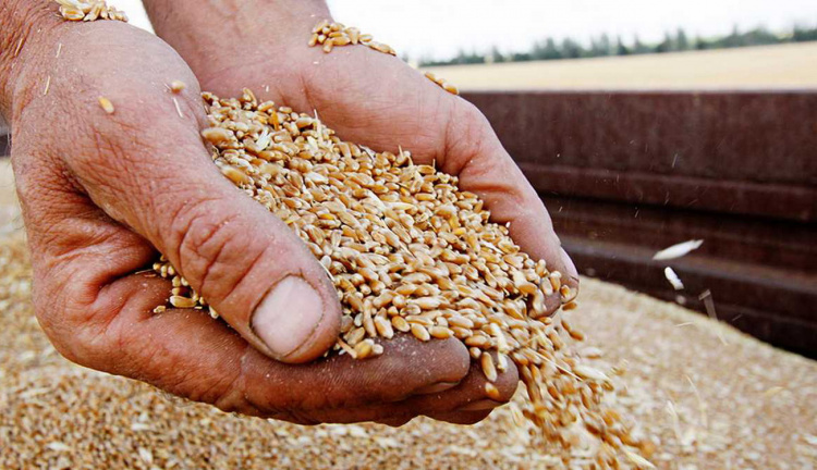 Зерно як зброя - росіяни викрадають врожай з Маріуполя, а Україна шукає нові шляхи експорту