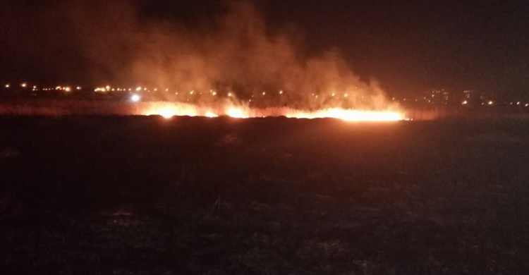 Знойная угроза: на Донетчине за сутки вспыхнуло 62 пожара в экосистемах (ФОТО)